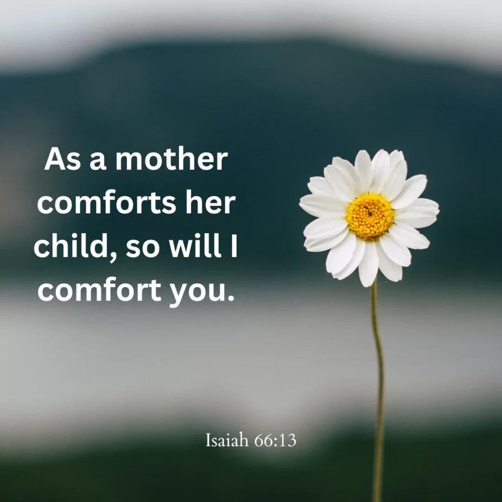 Bible Verses About Mothers