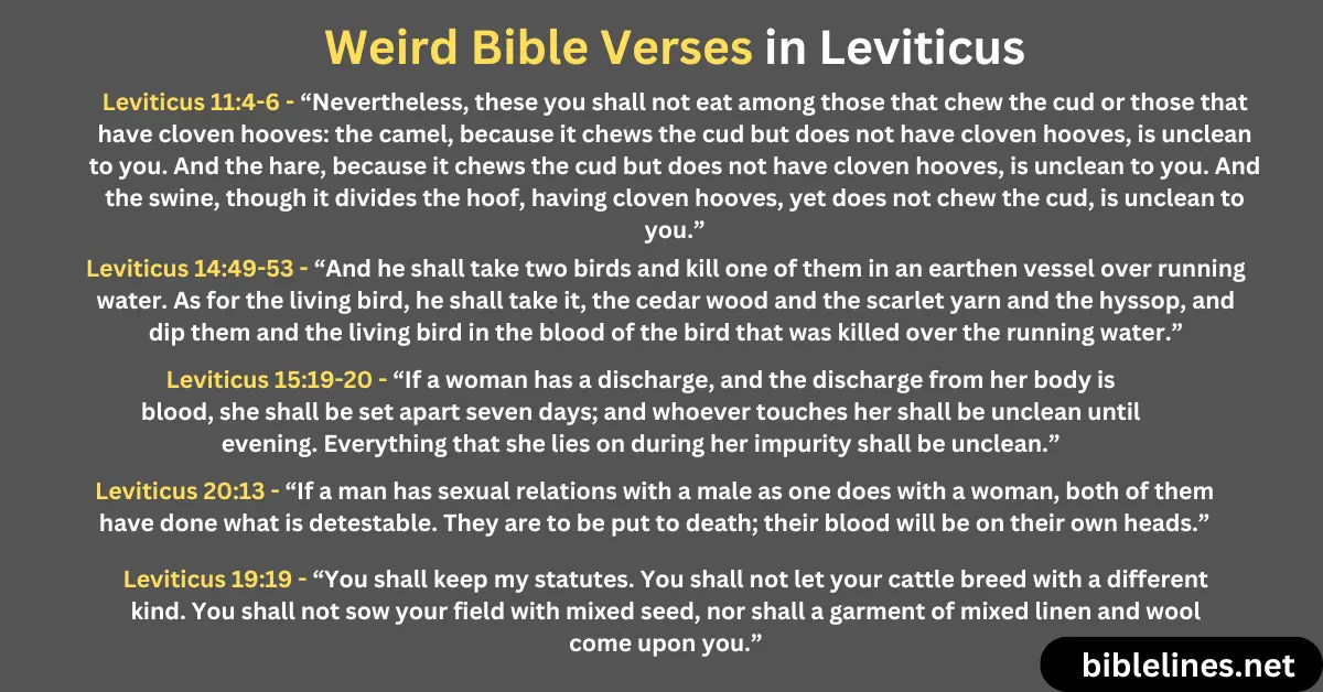 Weird Bible Verses in Leviticus